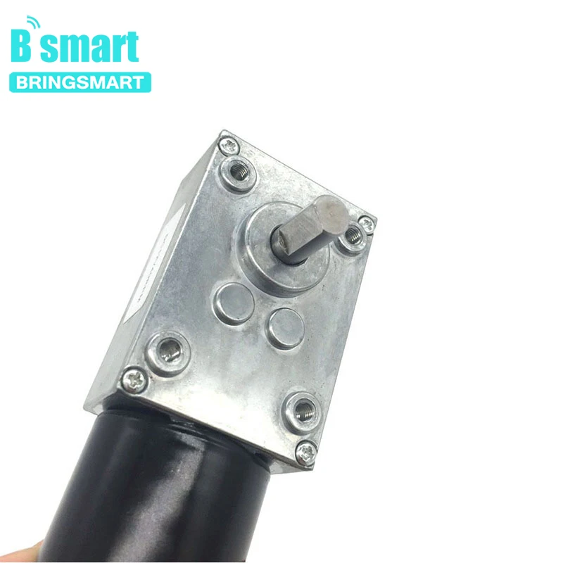 

5840-3650 12v Dc Worm Gear Motor With Brushless Motor Double Shaft Motors 12 Volt Totally Enclosed Gear Mini Motors