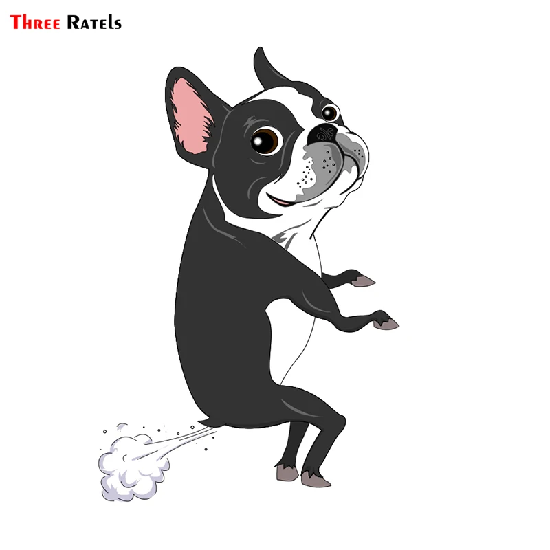 

Three Ratels TRL041# 12x16.2cm car animal funny car stickers Boston dog Terrier farts car stickers and decals