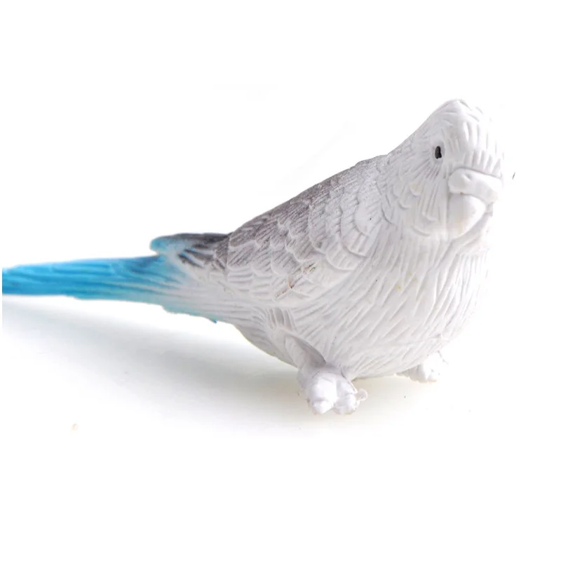 

animals model scale 12pcs Birds series Original genuine wild life zoo jungle farm kids educational toy for children gift