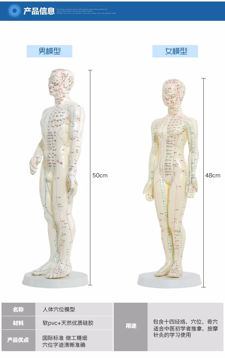 Меридиан английско-китайская модель человека Акупунктура точка человека модель тела 50 см мужской или 48 см женский в китайском