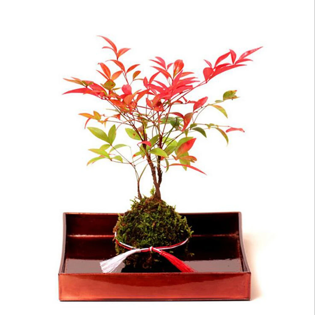 2x Moss Ball Moss Bonsai Personalized Flower Pot Bird Nest Flower Plant Desk Table Decoration Plantpot diameter 6/9cm