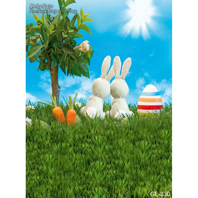 Easter eggs whitephoto background outdoor scenery photography backdrops