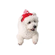Sweatheart Милая шерстяная модная шапочка для домашних собак