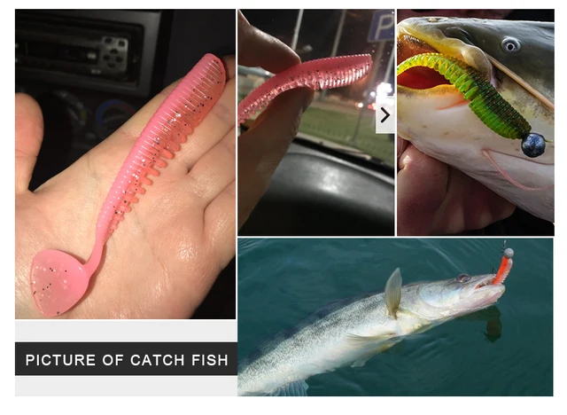 MEREDITH Awaruna Fishing przynęty 8CM 9 5 cm 13cm sztuczne przynęty woblery Soft przynętami Shad CARP silikonowe wędkarstwo miękkie przynęty Tackle tanie i dobre opinie Rzeka zbiornik staw Ocean Boat Fishing strumień Ocean Beach wędkowanie jezioro JXS05 Sztuczna przynęta 3 2 g 5 1 g 10 4 g MEREDITH Awaruna Fishing przynęty 8CM 9 5 cm 13cm sztuczne przynęty woblery Soft przynętami Shad CARP silikonowe wędkarstwo miękkie przynęty Tackle tanie i dobre opinie Rzeka zbiornik staw Ocean Boat Fishing strumień Ocean Beach wędkowanie jezioro JXS05 Sztuczna przynęta 3 2 g 5 1 g 10 4 g