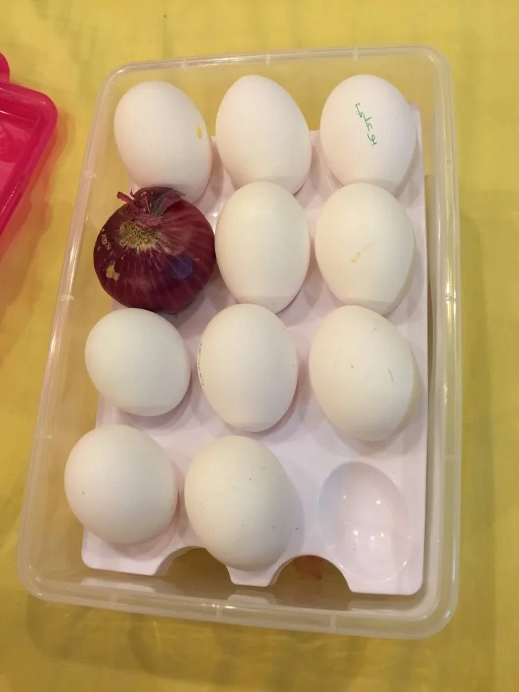 UT8ZYTJXEhXXXagOFbX3