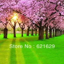 Lush flowers 8’x8′ CP Computer-painted Scenic Photography Background Photo Studio Backdrop DT-12-86