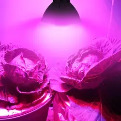 Светодиодный расти свет лампы E27 4 Вт 54 2835SMD полный спектр Veg цветы роста растений лампы для парниковых гидропоники Системы 110 В/220 В