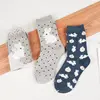 Chaussettes en coton pour femme, 2 paires, dessin animé, chat, lapin, hérisson, hibou, souris, pingouin, écureuil, vache, cochon, Panda, cerf, Animal mignon, Harajuku ► Photo 2/6