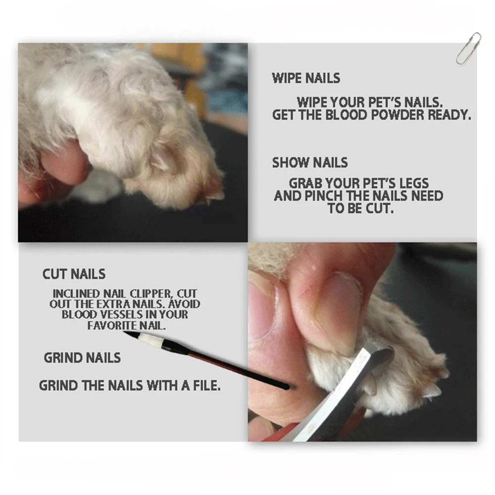 Newest Stainless Steel Pet Nail Clipper Cutter Rubber Handled Animal Dog Cat Grooming Scissors Toe File Trimmer Clipper Supplies (2)
