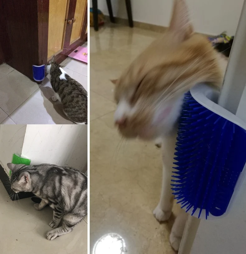 Cat Grooming Tool Hair Removal Brush Comb for Dogs Cats Hair Shedding Trimming Device with catnip Wall Corner Massage Comb Cat Grooming Tool Hair Removal Brush Comb for Dogs Cats Hair Shedding Trimming Device with catnip Wall Corner Massage Comb