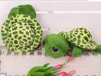 big eyed turtle