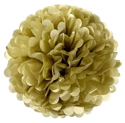 20cmPOM_