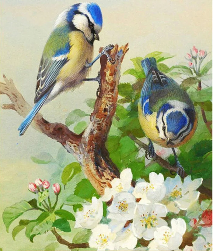 5D-Diy-Diamond-Painting-bird-Full-round-Rhinestones-Cross-Stitch-Crystal-Mosaic-Embroidery-flower-Home-Decoration.jpg_640x640