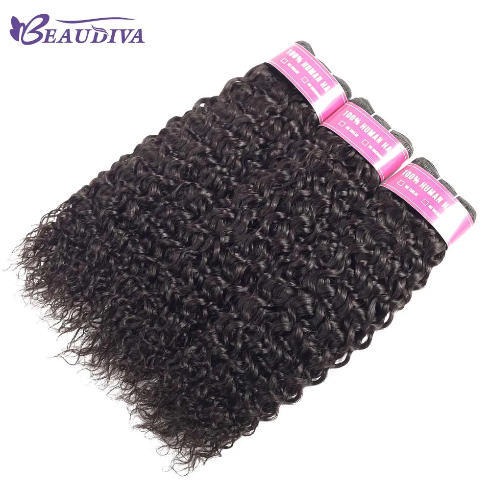 Beaudiva Curly Bundles With Lace Closure Brazilian Human Hair Bundles With Closure Remy Hair Extensions Bundles With Closure