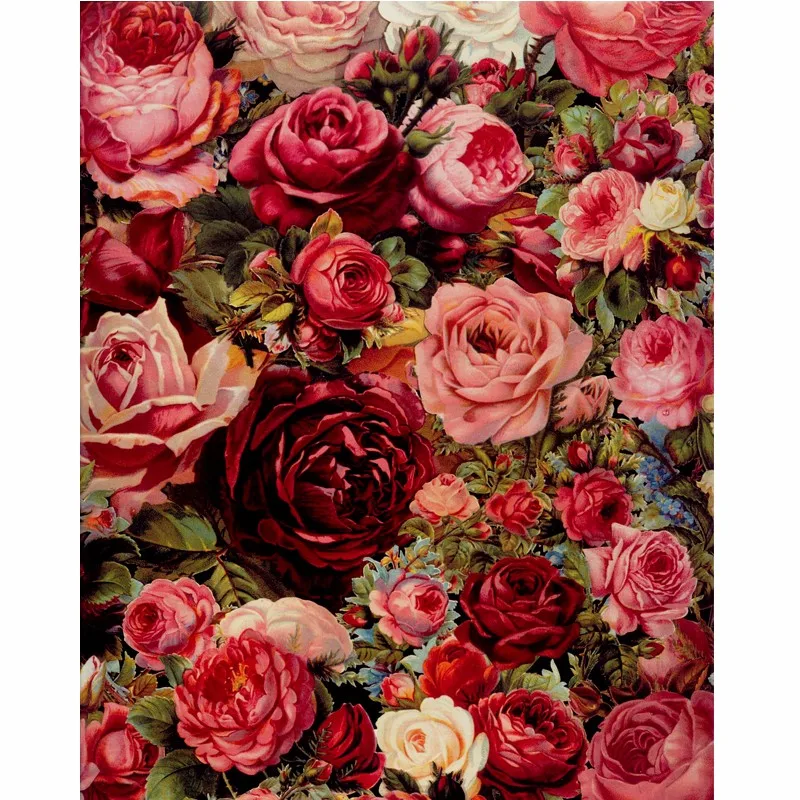 

Bloom Red Rose Diy Painting By Numbers Digital Calligraphy Painting Hand Painted Wall Art Picture For Home Decor 40x50