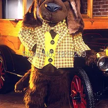 Маскот Ровер собака маскот костюм маскарадный костюм на заказ маскарадный костюм карнавальный костюм-маскот