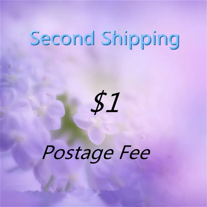 

CWLSP Extra Shipping the Postage Fee for Shipping Reissue Price Link QL0000