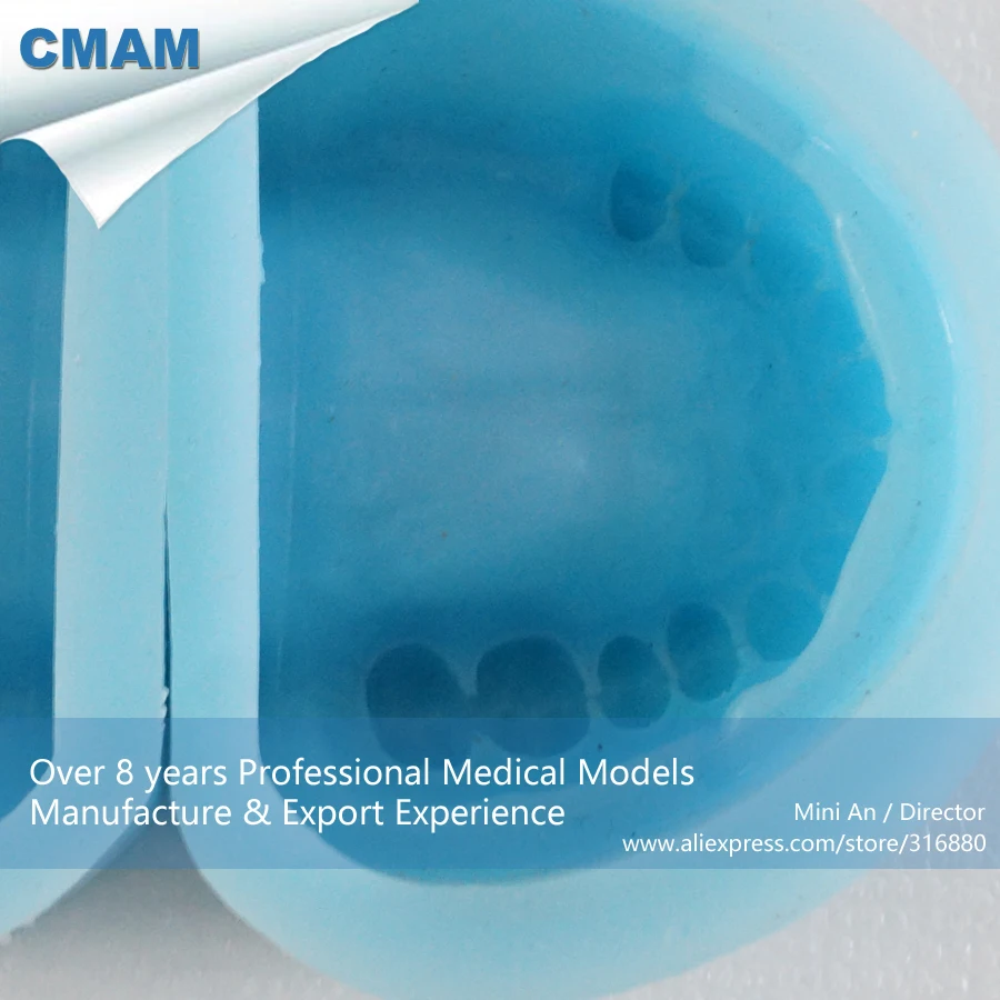 

CMAM-DH702 Edentulous Rubber Mould