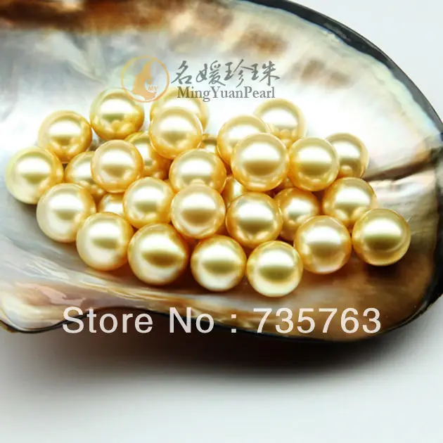 

xiuli 00788 PERFECT ROUND AAA 8-9MM AUSTRALIAN SOUTH SEA GENUINE GOLD LOOSE PEARL HALF DRILL