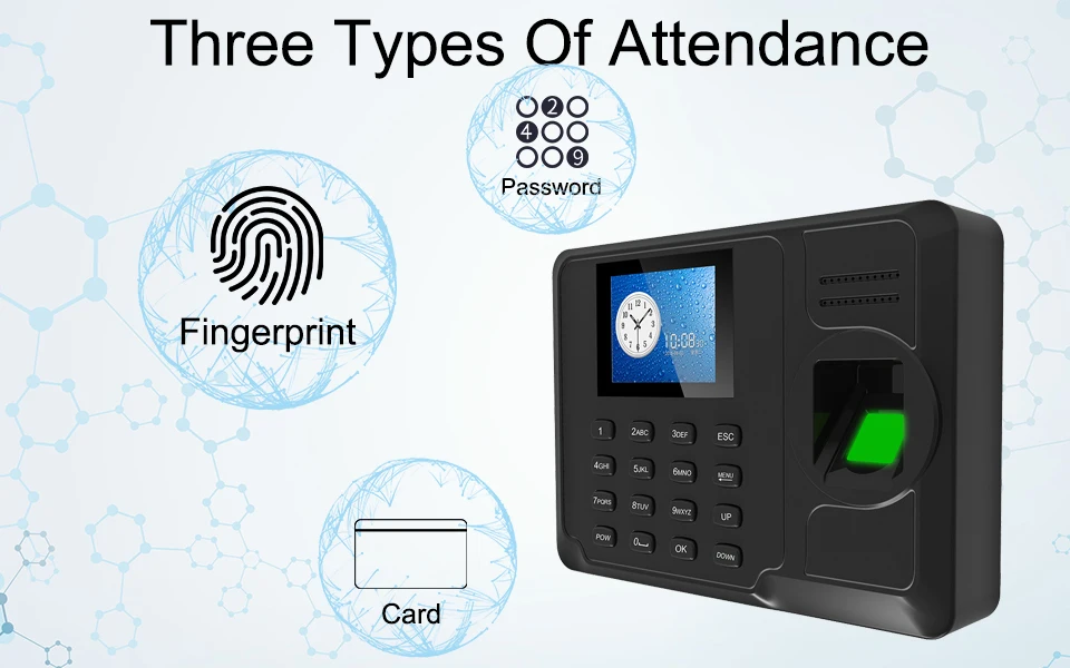 Отпечатков пальцев биометрическая система посещаемости времени TCP/IP отпечатков пальцев USB часы регистраторы офисных сотрудников устройство посещаемости