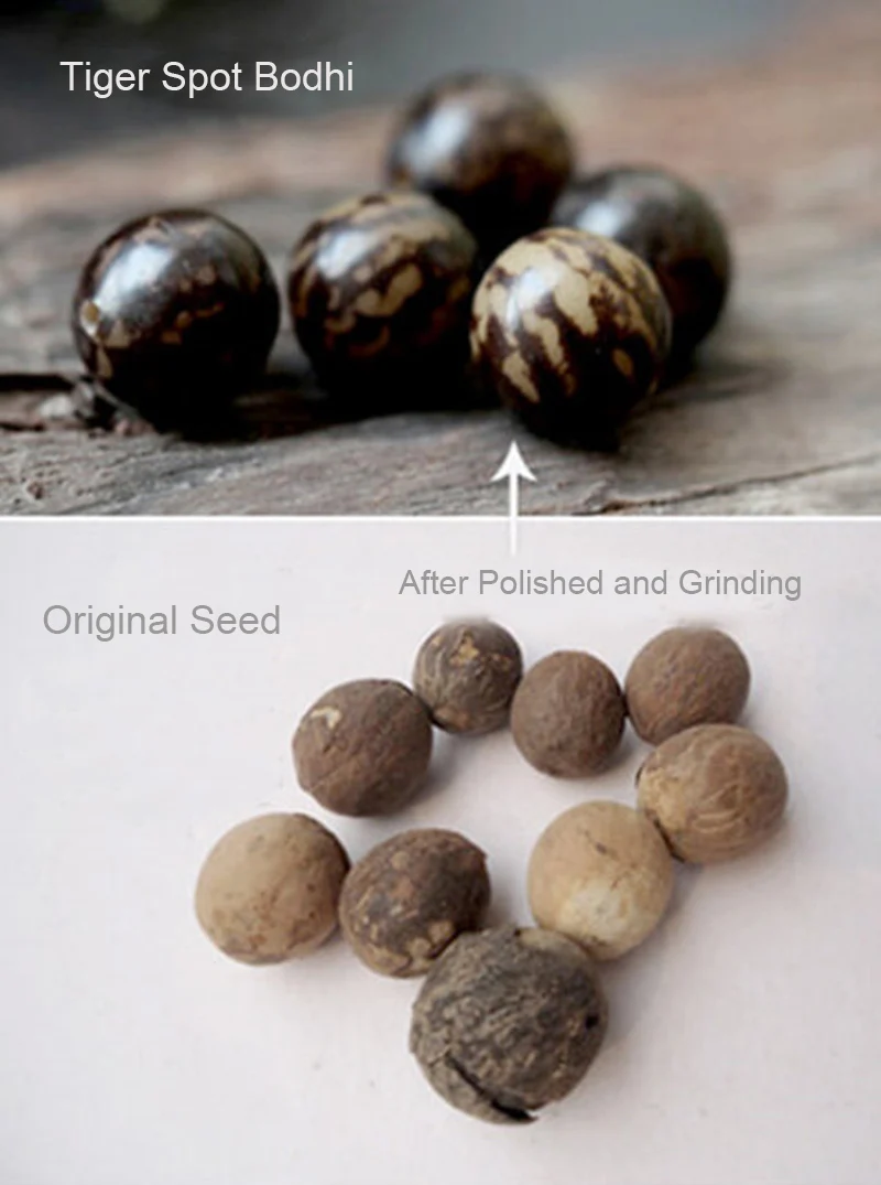 natrual-bodhi-seed-handmade-rope-braided-buddhist-bracelet-yoga-meditation-amulet-jewelry(9)_