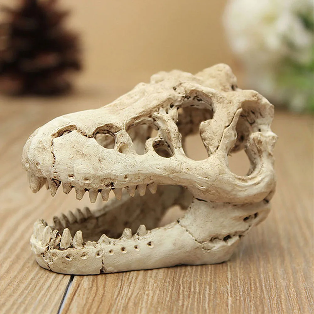 ZXZ Resin Dinosaur Skull Aquarium Decoration Terrarium Reptile Head