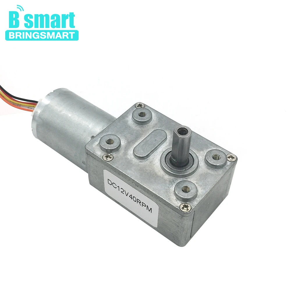 

Bringsmart DC Gear Motor Brushless 12 Volt 24V Self-locking Reversible with Brake Speed Measuring Worm Motor Gearbox JGY-2430