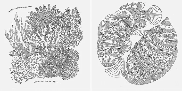 HTB1QiRVJpXXXXaXXXXXq6xXFXXXt