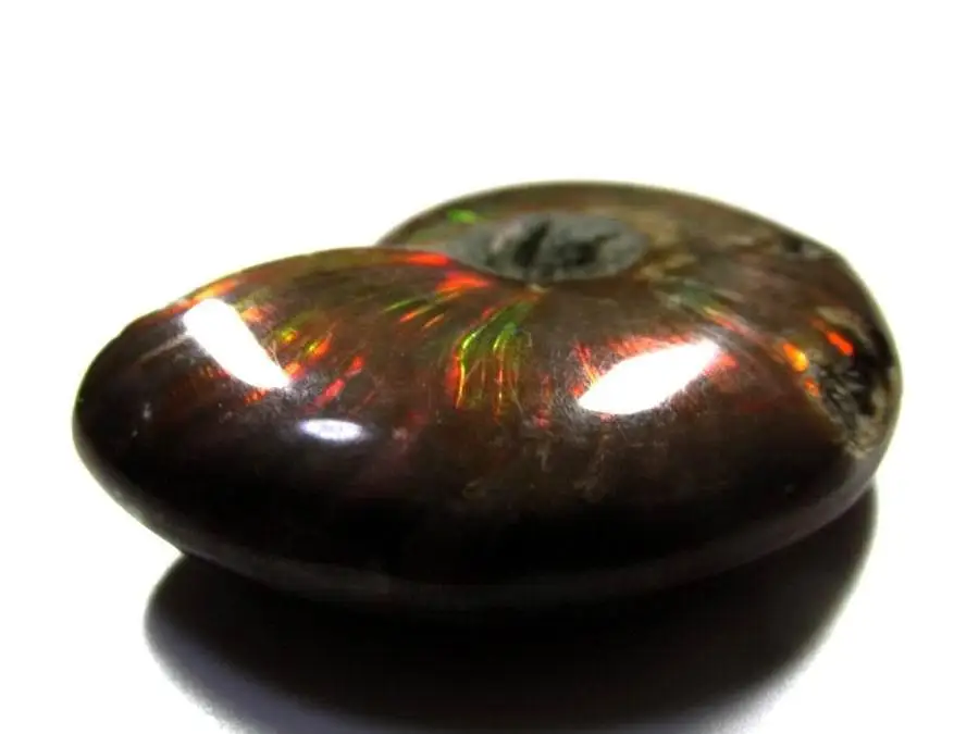 Редкий Радужный аммонит ракушка аммолита драгоценный камень ископаемый цвет с