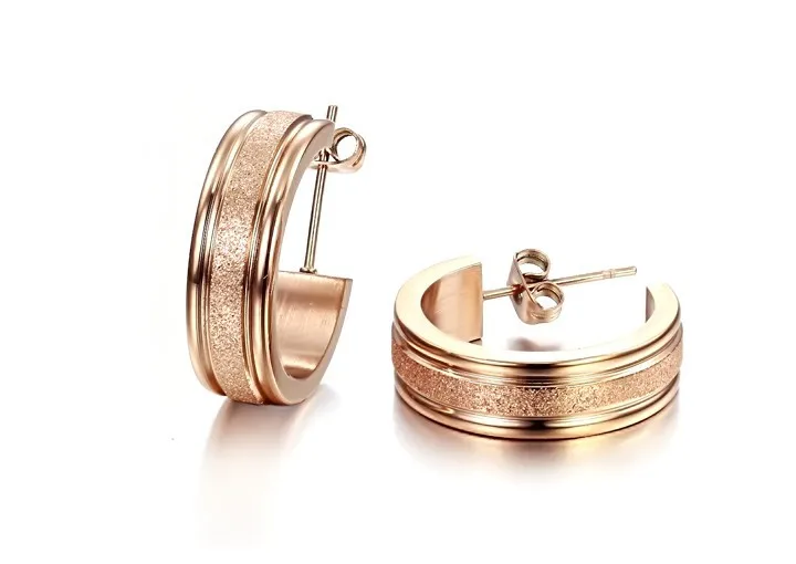 Exquisite fine gush arenaceous technology More shining beautiful Titanium steel lady stud earrings E011 | Украшения и аксессуары