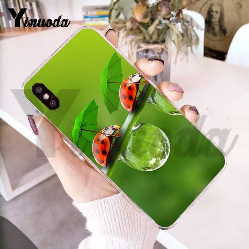 Чехол Yinuoda для iphone 7 6 X насекомое семизвезда божья коровка окрашенный красочный