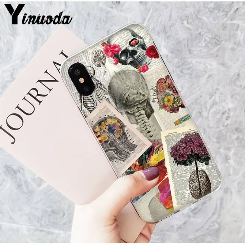 Art Beautiful Tumblr New Aesthetic Skull Floar