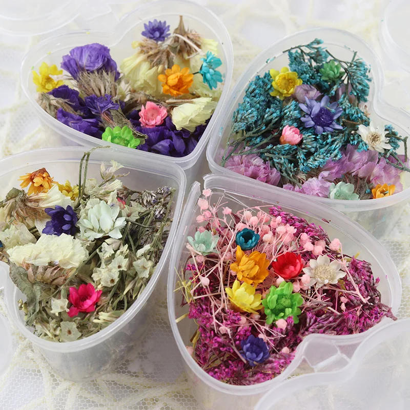 Dried Flower Art Reviews Online Ping 12 Colors Box Nail Art Dried Flower Decoration Diy Real Preserved Flowers Tips Deco