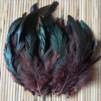 

Cheap! 50pcs Color Beautiful Rooster feathers 5-8''/12.5-20cm pheasant chicken plume Free shipping brown
