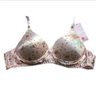 Прямые производители бюстгальтера из 100% шелка|silk bra|bra cheapbra silk |
