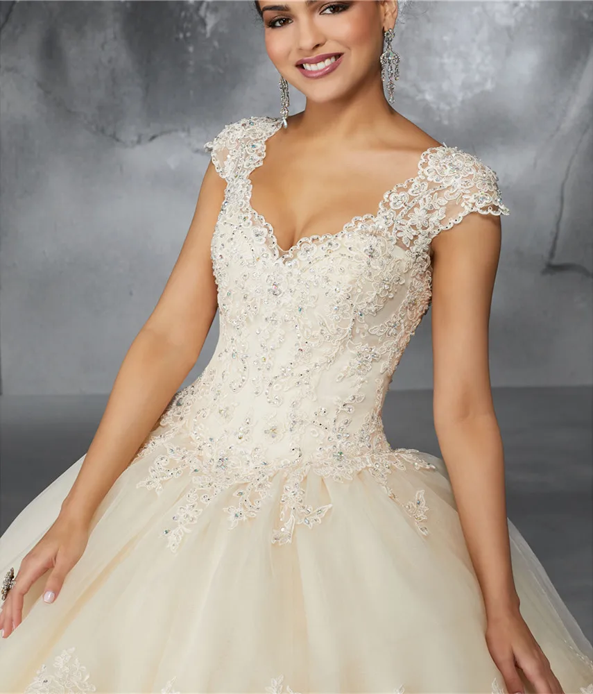 Elegant-vestidos-de-15-anos-Short-Sleeves-Deep-V-Neck-Appliques-quinceanera-vestido-de-quinceanera-vestidos (3)