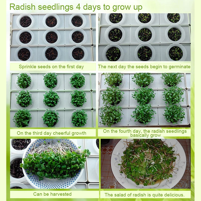 1 Set 3 Holes Plant Site Hydroponic System Soilless Nursery Pots Cultivation Plant Vegetable Seedling Grow Kit Indoor Garden Box 1 Set 3 Holes Plant Site Hydroponic System Soilless Nursery Pots Cultivation Plant Vegetable Seedling Grow Kit Indoor Garden Box