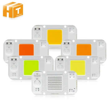 

LED COB Lamp Chip AC 220V 20W 30W 50W Smart IC DIY LED Floodlight Spotlight DOB Led Bulb Chip Beans Outdoor Lamp