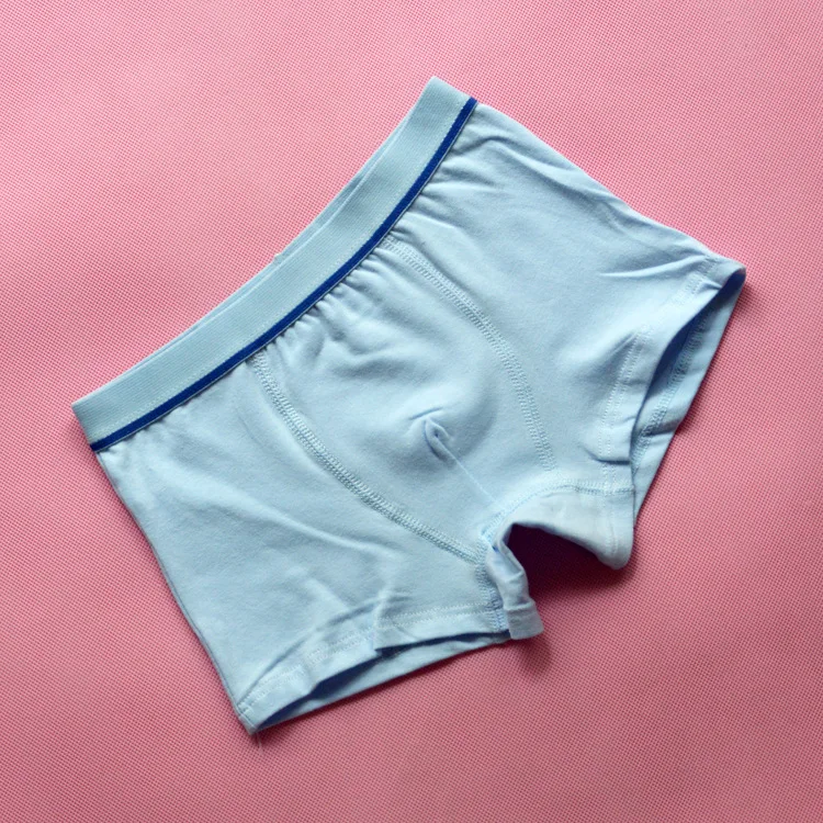 4 Pcs/Lot Organic Cotton Kids Boys Underwear Pure Color Babys Shorts Panties Boys Boxer Children's Teenager Underwear 3-12 Year 4 Pcs/Lot Organic Cotton Kids Boys Underwear Pure Color Babys Shorts Panties Boys Boxer Children's Teenager Underwear 3-12 Year
