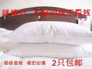 

single Down pillow 75*45cm &down pillow cervical pillow &health care pillow paypal accepted one/piece