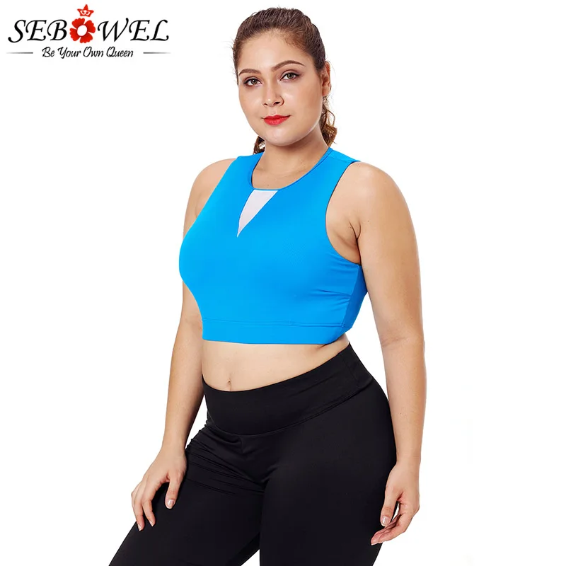 Blue-Mesh-Insert-High-Neck-Plus-Size-Sport-Bra-LC26039-5-4 