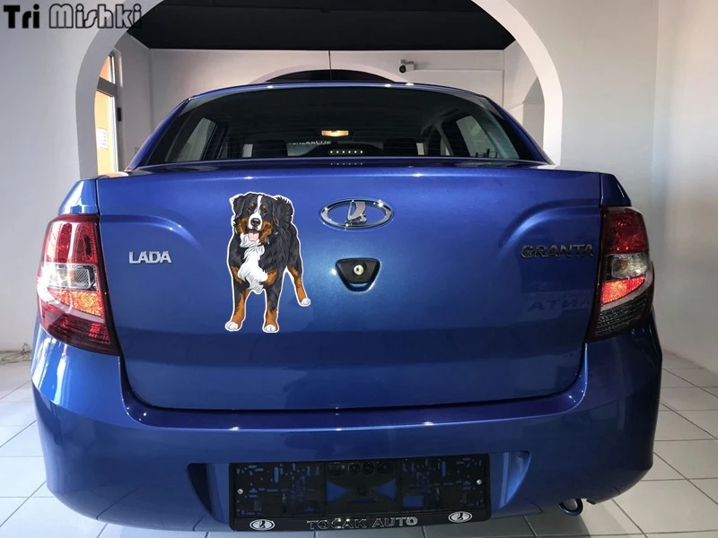 Tri mishki WCS114 12x20 см Бернская горная собака стоящая и улыбающаяся забавная наклейка для автомобилей Красочные автомобильные отличительные знаки