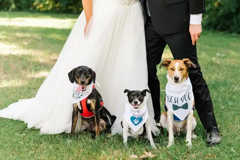 Customize wedding Save The Date Dog Bandana, Save The Date Engagement Photo Props, Save The Date Sign, Dog Engagement Photo