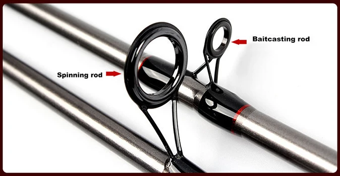 3886435538_1614611652