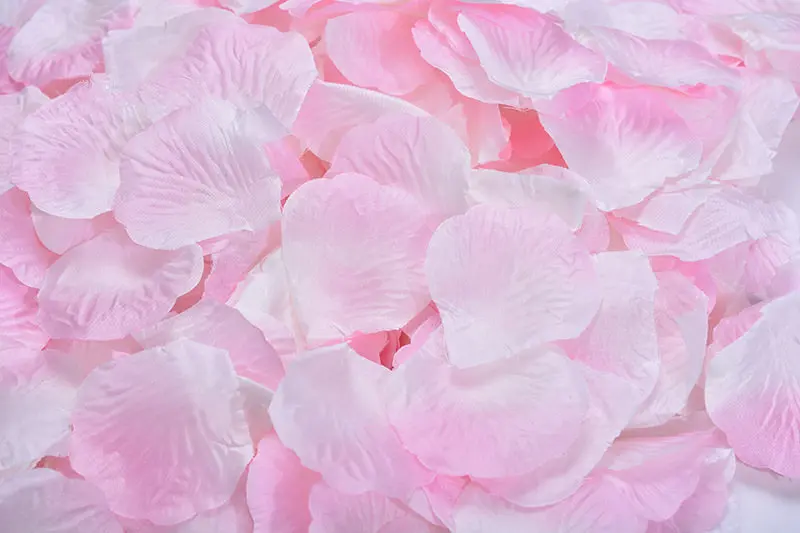 2382-24-10pcs-pink and white-