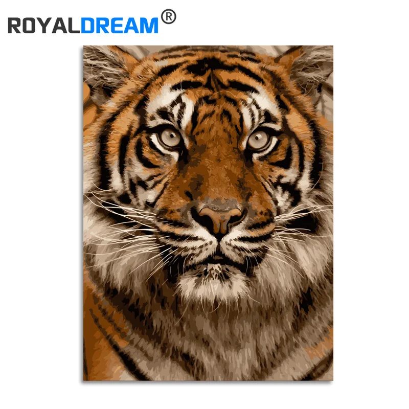 

ROYALDREAM Tiger Animals DIY Digital Oil Painting By Numbers Europe Abstract Canvas Painting For Living Room Wall Art