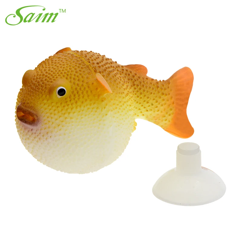 fish tank fishes