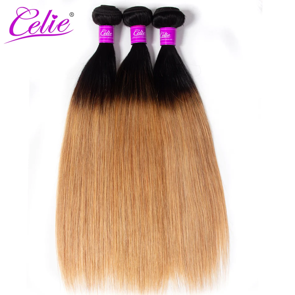 Celie-Brazilian-Straight-Hair-Ombre-Bundles-1B-27-30-Burgundy-Red-Ombre-Hair-Bundles-Remy-Brazilian (2)