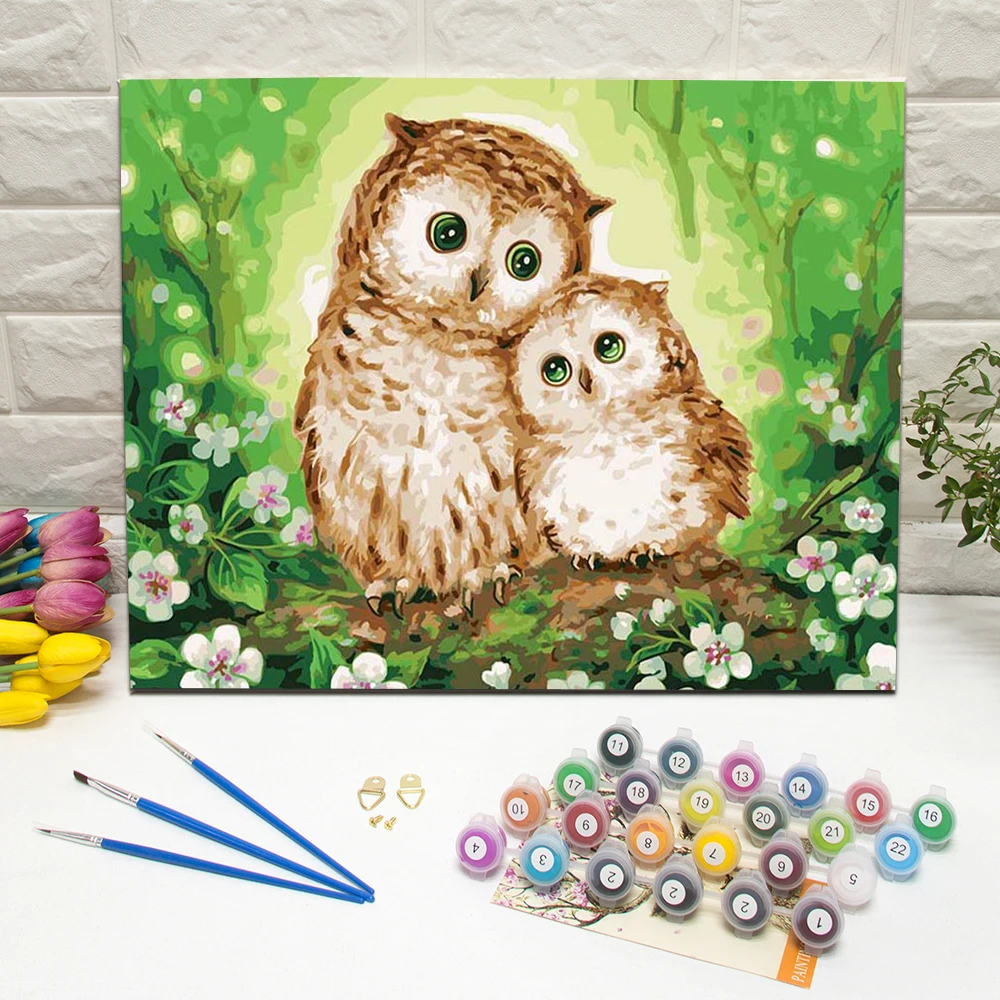 

Framed Owls Animals DIY Oil Painting By Numbers Kit Wall Art Picture Canvas Painting For Home Decoration Unique Gift 40x50cm