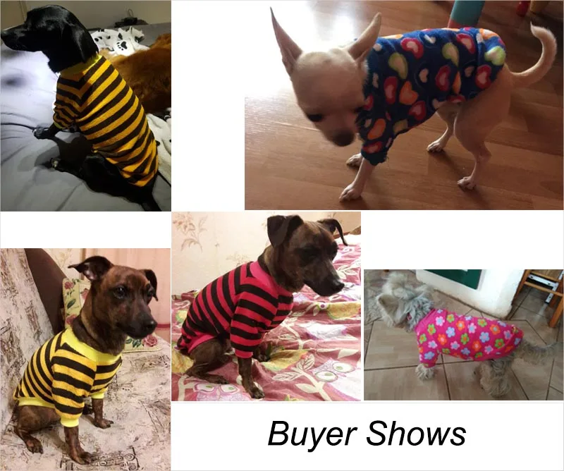 Buyer shows